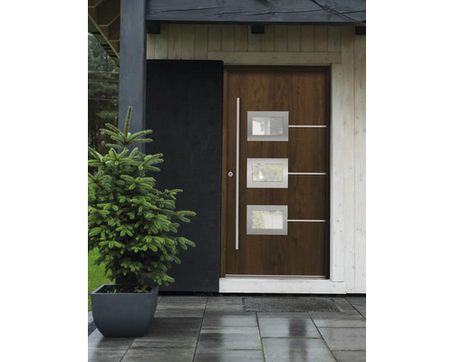 Vchodové dvere s tromi oknami a stromom v kvetináči pred domom