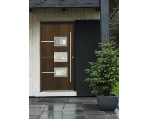 Vstupný priestor s vchodovými dverami so sklenenými výplňami a moderným dizajnom