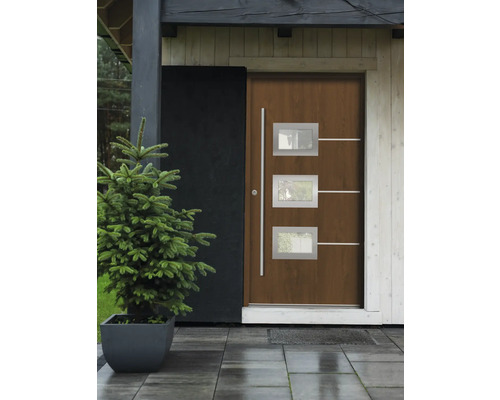 Vchod do domu s vchodovými dverami, bočnou stenou a rastlinou