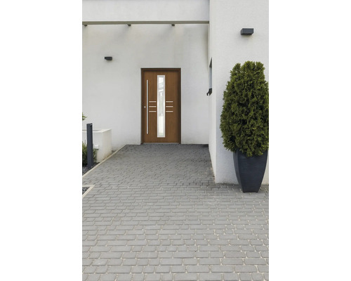 Vstupný priestor domu s dlažobnými kockami a vchodovými dverami so sklenenou vložkou