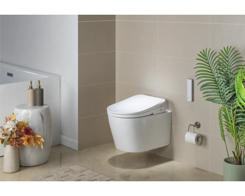 Kúpeľňa s nástennou sprchovacou toaletou, diaľkovým ovládaním, držiakom toaletného papiera, dekoráciou a kúpeľňovým kobercom