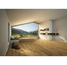 Svetlá miestnosť s drevenou podlahou, knižnicami a veľkým oknom s výhľadom na zelenú krajinu