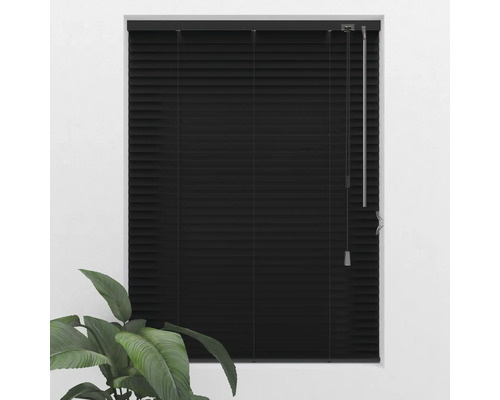 Zatvorená čierna žalúzia na okne s rastlinou