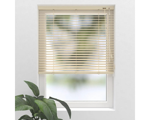 Okno s horizontálnymi žalúziami na reguláciu svetla