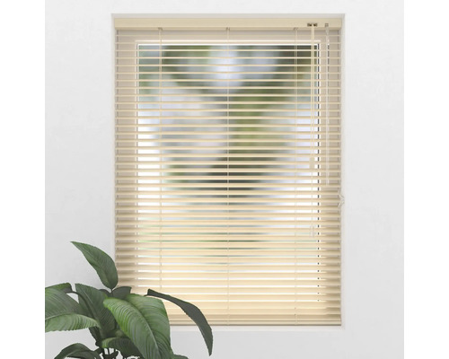 Okno s horizontálnymi žalúziami a izbovou rastlinou