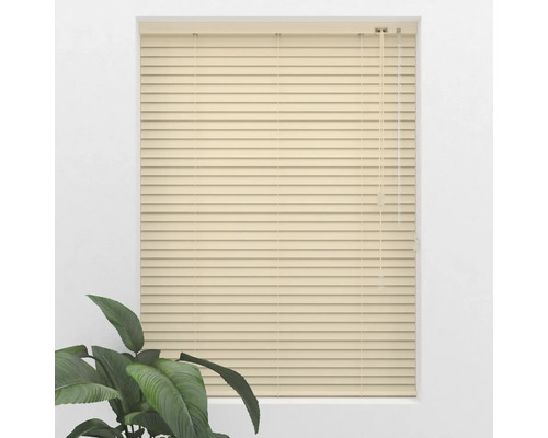 Okno so zatvorenými žalúziami a izbovou rastlinou