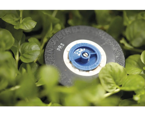 Tlakovo regulovaná postrekovacia hlava VRAIN Bird v tráve