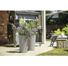 Dva kvetináče s kvetmi a plážový kôš v pozadí.