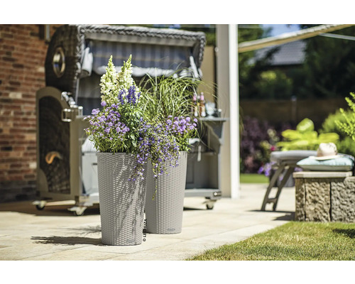 Dva kvetináče s kvetmi a plážový kôš v pozadí.