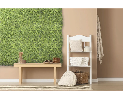 Dekoratívny interiér s machovou stenou, lavicou a policou