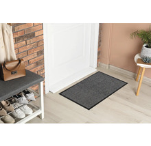 Scéna s rohožkou pred dverami, botníkom a dekoratívnymi predmetmi.