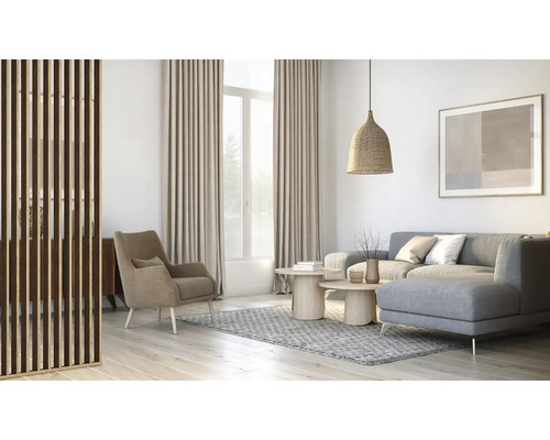 Obývacia izba s pohovkou, kreslom, deličom miestnosti a dekoráciou