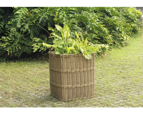 Prútený kvetináč s rastlinami v záhrade