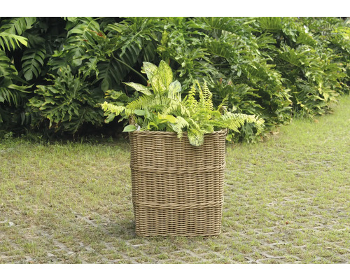 Prútený kvetináč s rastlinami v záhrade.