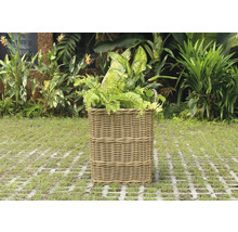 Ratanový kôš na rastliny so zelenými rastlinami v záhrade