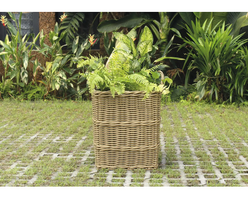 Ratanový kôš na rastliny so zelenými rastlinami v záhrade