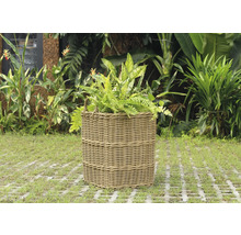 Prútený kvetináč s rastlinami v záhrade.