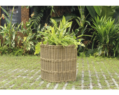 Prútený kvetináč s rastlinami v záhrade.