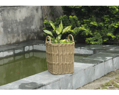 Prútený kôš na rastliny s rúčkou a rastlinou
