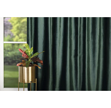 Dekoratívna izba s izbovou rastlinou v zlatom kvetináči a závesom