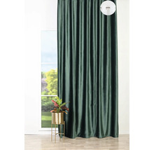 Dekoratívny tmavý záves pred oknom s izbovou rastlinou na stojane na rastliny.