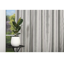 Dekoratívne obytné prostredie so závesom, stolom a črepníkovou rastlinou