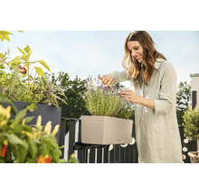 Žena strihá levanduľu v hrantíku s držiakom na balkóne