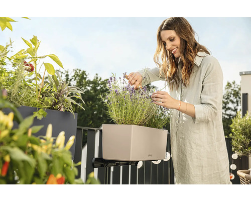 Žena strihá levanduľu v hrantíku s držiakom na balkóne