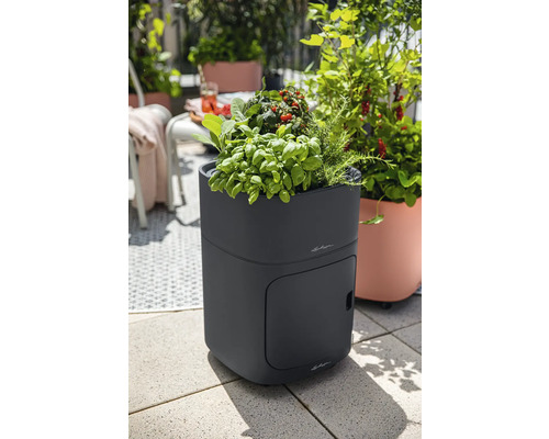 Vyvýšený záhon s bylinkami a rastlinami paradajok na terase