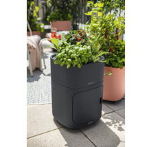 Vyvýšený záhon s bylinkami a zeleninou na terase