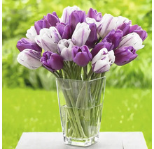Kytica tulipánov v sklenenej váze