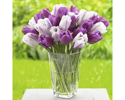 Kytica tulipánov v sklenenej váze
