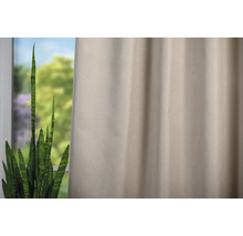 Dekoratívny záves vedľa izbovej rastliny pred oknom.