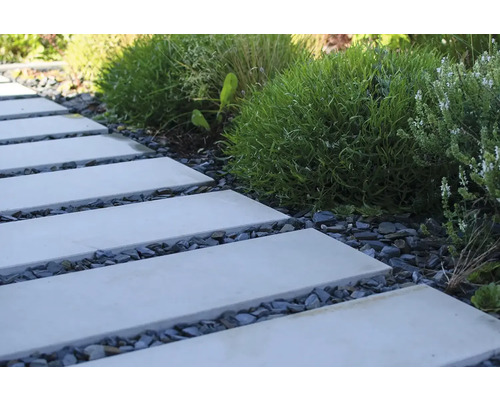 Záhradný chodník s obdĺžnikovými betónovými doskami a okrasným štrkom medzi rastlinami