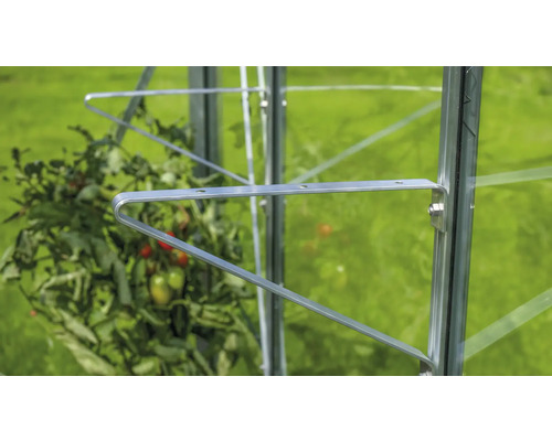 Detailný záber podpory paradajok v skleníku