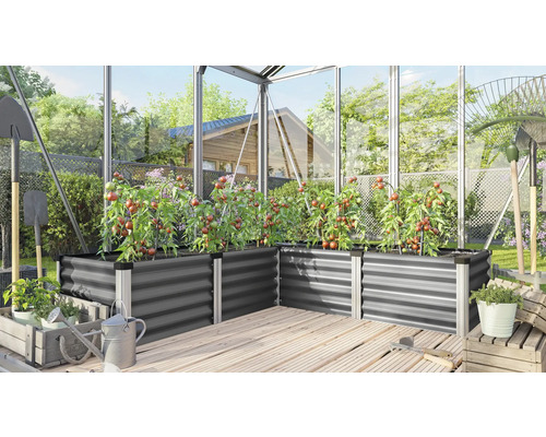 Skleník s kovovými vyvýšenými záhonmi, osadený rastlinami paradajok, záhradným náradím a drevenou podlahou