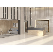 Interiér s recepciou, posedením a dekoratívnymi prvkami