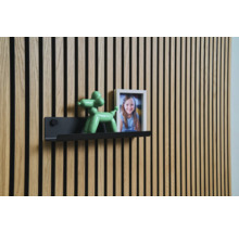 Stenový panel s policou, figúrkou balónového psa a rámikom na fotografie