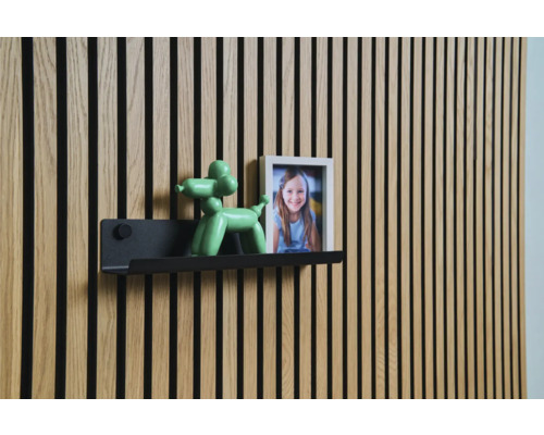 Stenový panel s policou, figúrkou balónového psa a rámikom na fotografie