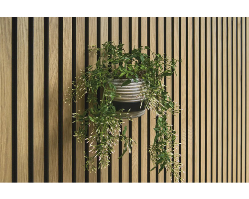 Dekoratívna stena s drevenými panelmi a črepníková rastlina
