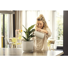 Žena zalieva izbovú rastlinu v rebrovanom kvetináči krhlou na zalievanie vo svetlej miestnosti