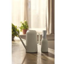 Kanva na polievanie a rozprašovač na rastliny na stole.