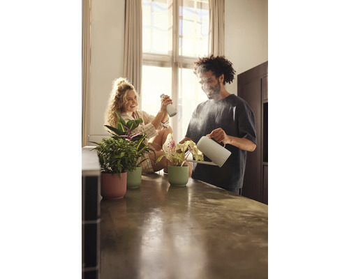 Pár zalieva a postrekuje izbové rastliny v kvetináčoch