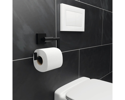 Kovový držiak toaletného papiera, splachovanie a toaleta v kúpeľni