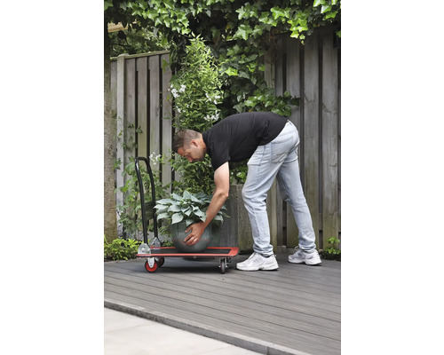 Muž prepravuje črepníkovú rastlinu s pojazdnou doskou v záhrade.