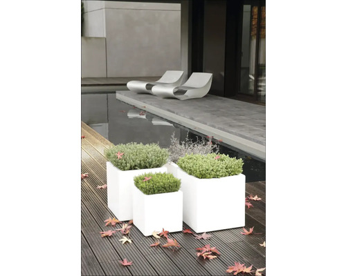 Štvorcové plastové kvetináče s rastlinami na drevenej terase