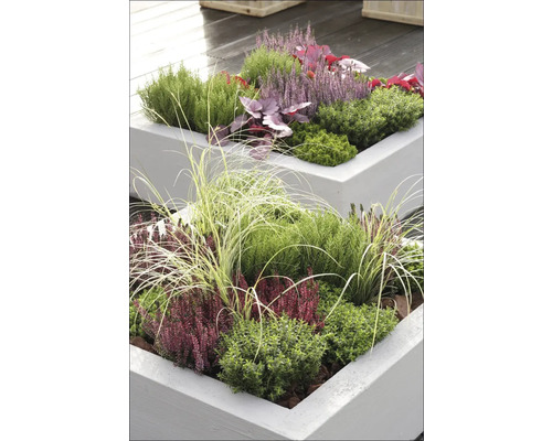 Osadené, vyvýšené záhradné záhony s jesennými kvetmi a okrasnými trávami