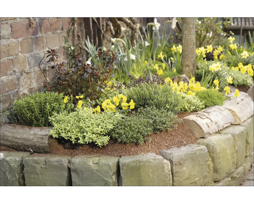 Kvetinový záhon s kamenným obrubníkom osadený rôznymi kvetinami a rastlinami