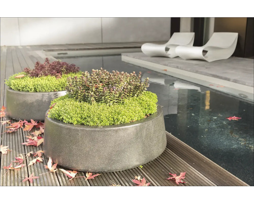 Dva osadené kamenné kvetináče na drevenej terase vedľa jazierka