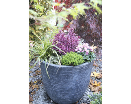 Kvetinové aranžmán v kvetináči v záhrade